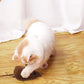 🔥2025 Hot Sale 50% OFF🔥🐭Mouse Toy for Cats and Dogs🐁