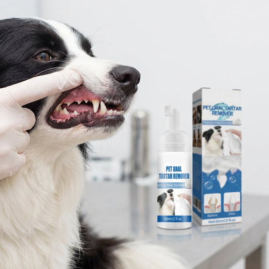 🔥🐶Pěnový odstraňovač zubního kamene pro domácí mazlíčky