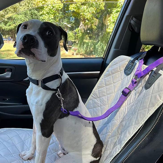 🚗🐶Двуфункционален колан за кучета и повод✨